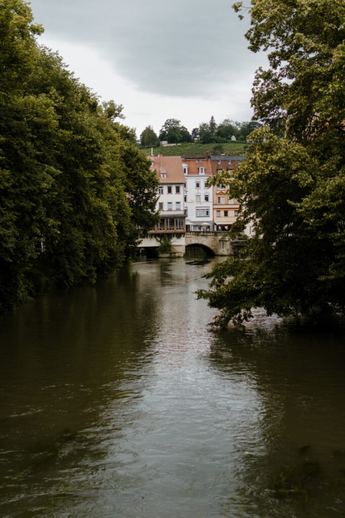 Esslingen am Neckar in Germany, a shot of the water way with lushes trees and historic buildings.
